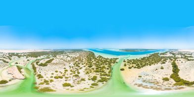 Al Jubail Mangroves